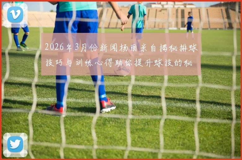 2026年3月份新闻杨丽亲自揭秘排球技巧与训练心得助你提升球技的秘诀