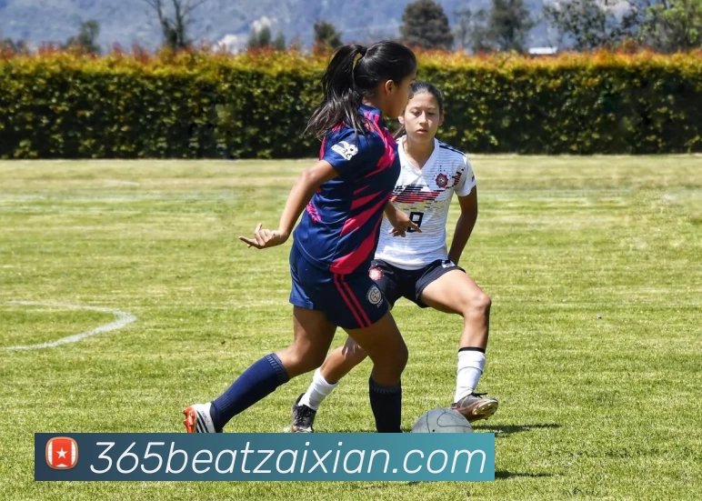 在线365beatAPP 高清赛事图